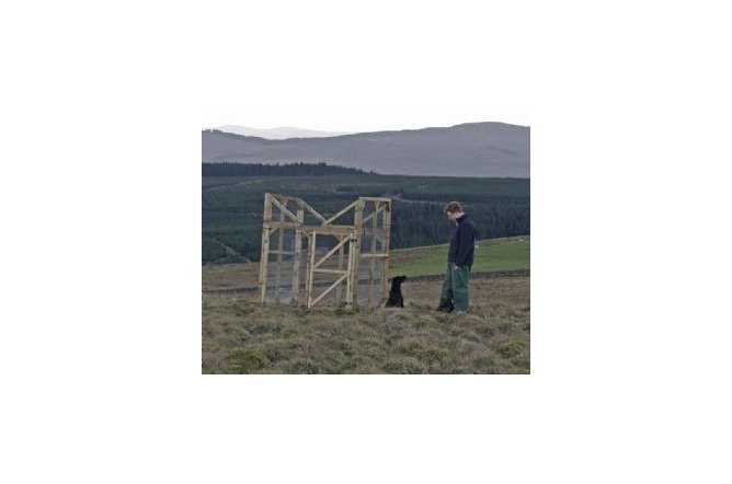 Solway Ladder Trap