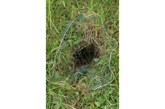 Ferreting Purse Nets (pack of ten)